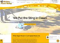 Bumbleebee Pressure Washing Website from Portfolio of Andrew Kauffman